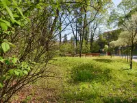 Ciesz się Cieszynem - Ogród dwóch brzegów