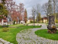 Park przy Lipie Sądowej