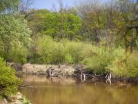 Rezerwat Szwajcaria Podlaska