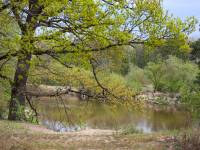 Rezerwat Szwajcaria Podlaska