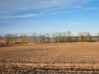 Jezioro Liwia Łuża