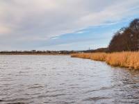 Jezioro Liwia Łuża