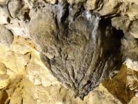 Jaskinia Wierzchowska