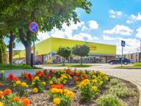 Biedronka Włodawa, ul. Korolowska