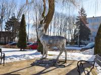 Pomnik Jelenia w Mielnie