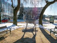Pomnik Jelenia w Mielnie