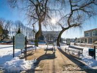 Pomnik Jelenia w Mielnie