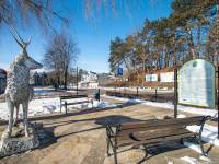 Pomnik Jelenia w Mielnie