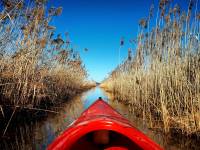 Spływy kajakowe nad Bugiem - Sławatycze