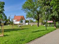 Aleja Kasztanowców Zwyczajnych w Lubinie