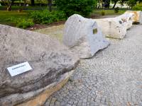 Pomnik Jana Wyżykowskiego w Lubinie