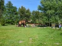 Park Wrocławski ZOO Lubin - Centrum Edukacji Przyrodniczej 