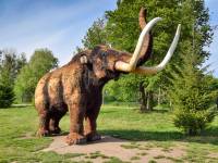 Park Wrocławski ZOO Lubin - Centrum Edukacji Przyrodniczej 