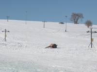 Wyciągi narciarske Pardałówka