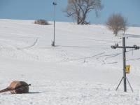 Wyciągi narciarske Pardałówka