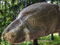 Rzeźba niedźwiedzia polarnego