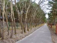 Ścieżki rowerowe w Grzybowie