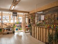 Papugarnia Egzotyczne Zakopane