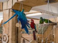 Papugarnia Egzotyczne Zakopane