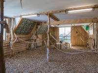 Papugarnia Egzotyczne Zakopane