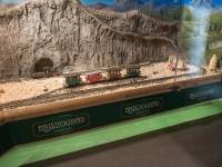 Myszogród w Zakopanem