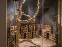 Myszogród w Zakopanem