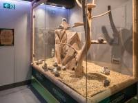 Myszogród w Zakopanem