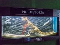 Akwanarium Podwodny Świat Zakopane