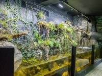 Akwanarium Podwodny Świat Zakopane