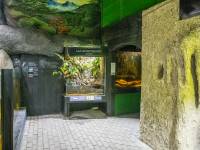 Akwanarium Podwodny Świat Zakopane