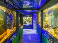 Akwanarium Podwodny Świat Zakopane