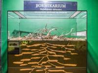 Akwanarium Podwodny Świat Zakopane