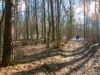 Lej po rakiecie V2 - las Lipowiec, Sarnaki