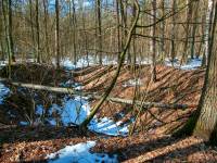 Lej po rakiecie V2 - las Lipowiec, Sarnaki