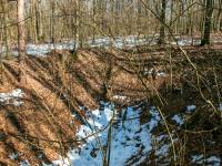 Lej po rakiecie V2 - las Lipowiec, Sarnaki