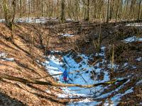 Lej po rakiecie V2 - las Lipowiec, Sarnaki