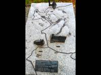 Kościół Najświętszego Serca Pana Jezusa