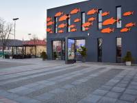 Oceanarium w Międzyzdrojach