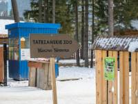 Tatrzańskie ZOO Zakopane - Bagno Shreka