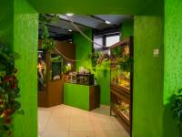 Reptarium - zwierzęta egzotyczne i gady w Zakopanem