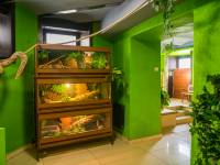 Reptarium - zwierzęta egzotyczne i gady w Zakopanem