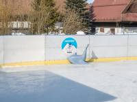 Lodowisko TAFLA - Zakopane