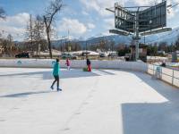 Lodowisko TAFLA - Zakopane