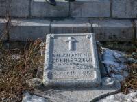 Pomnik Pogromcy Krzyżaków - Zakopane