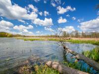 Ścieżka przyrodnicza Trojan