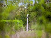 Zegary słoneczne w Krzyczewie