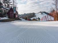 Wyciągi narciarskie Szafranówka