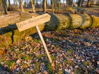 Grota Adama Naruszewicza w Janowie Podlaskim