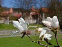 Krynica-Zdrój - perła polskich uzdrowisk