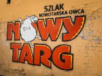 Owczy szlak w Nowym Targu